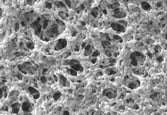 PVDF